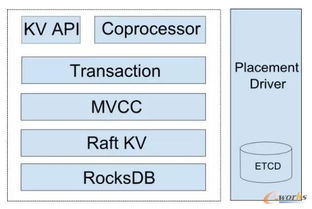 劉奇談如何構(gòu)建一個(gè)NewSQL數(shù)據(jù)庫 數(shù)據(jù)處理與存儲(chǔ)支持服務(wù)