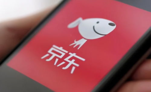 京東關聯企業布局數字科技新領域，動漫動畫設計及數據處理成新增長點